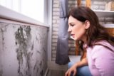 Simple Ways To Stop Mold From Taking Over Your Home